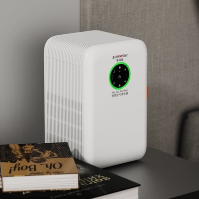 Low Noise Room Air Purifier For Adsorption Floating Dog Hair DC Motor