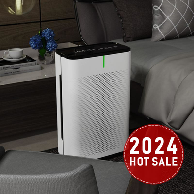 Negative Ion H14 Filter Room Air Purifier High Performance