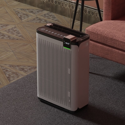 Small Active Oxygen Pet Hepa Filter Air Purifier WIFI Control For Pets